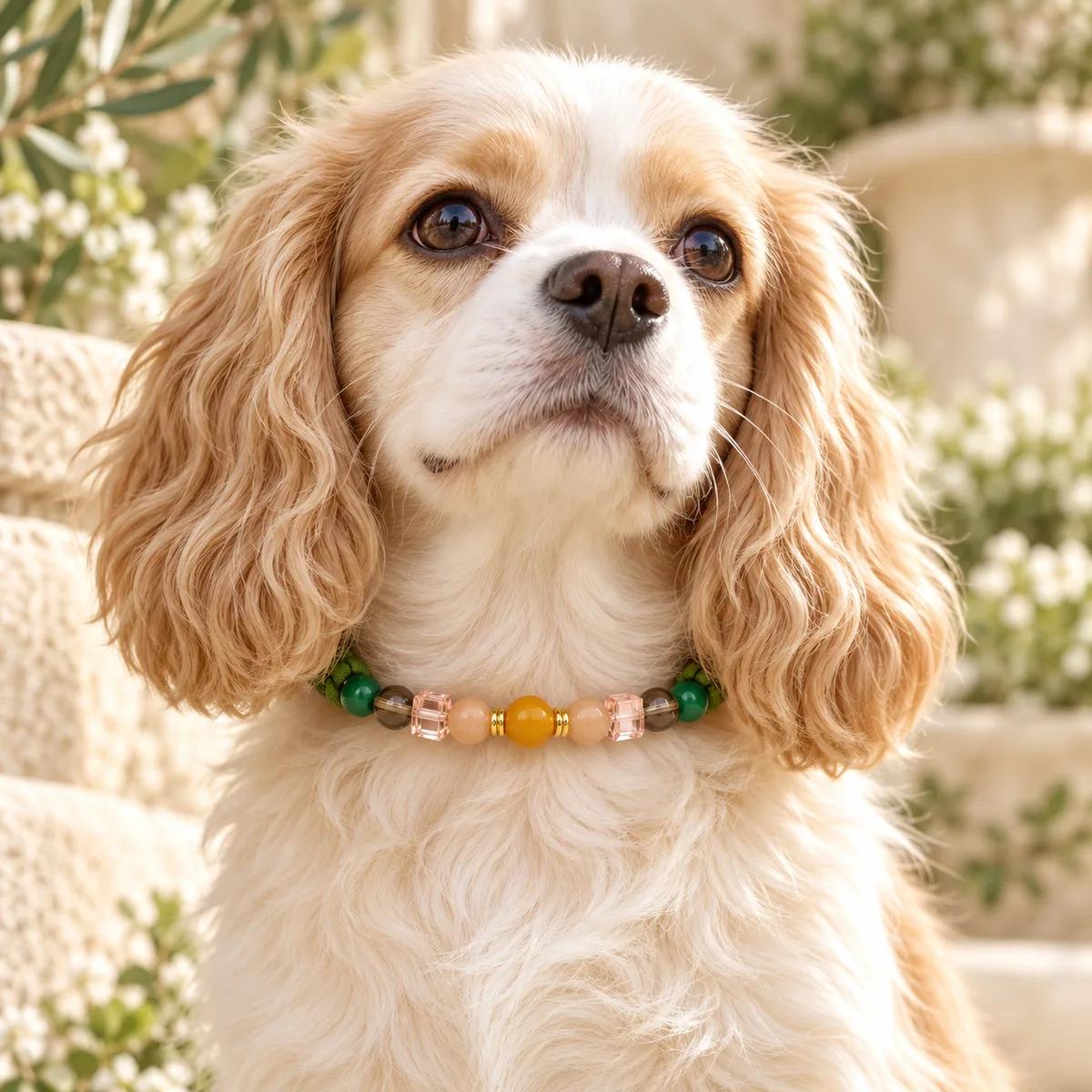 Green Crystal Pet Collar & Matching Bracelet Set — genuine  crystal,  origin