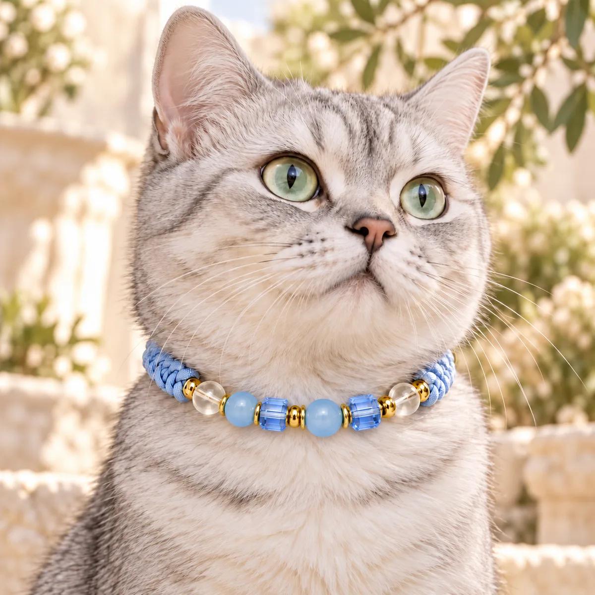 Blue Crystal Pet Collar & Matching Bracelet Set — genuine  crystal,  origin